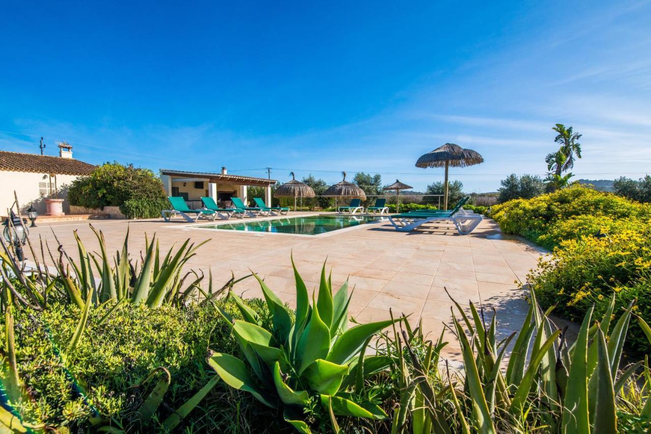 Finca Cas Padrins Manacor  Exteriör bild